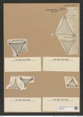 Triceratium nobile Witt. (de-Toni-Nr.: Genus 140, Species 3993) Zeichnungen Sammlung Grunow Nr. 7470 (NHMW-BOT-W0376572)